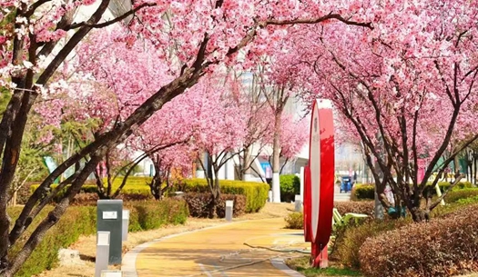 駛向春光里！城發(fā)集團(tuán)奏響“爭(zhēng)春奮進(jìn)曲”